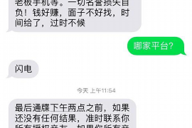 淮北为什么选择专业追讨公司来处理您的债务纠纷？